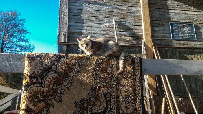 Артур Киракозов, «Чужие здесь не ходят!»