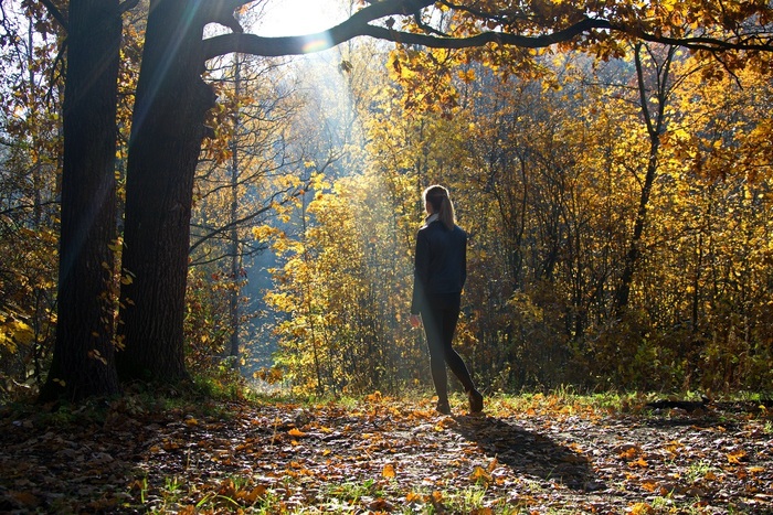 Ольга Канюкова, «В лучах осенни»