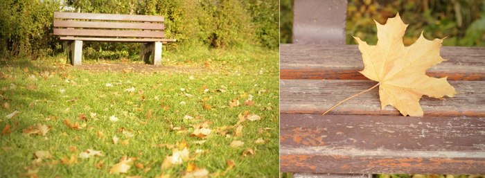 Ekaterina Nadymova, «Скамейка»