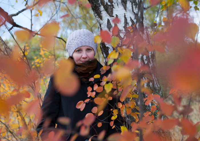Дмитрий Рыжаков, «Палитра осеннего дня»