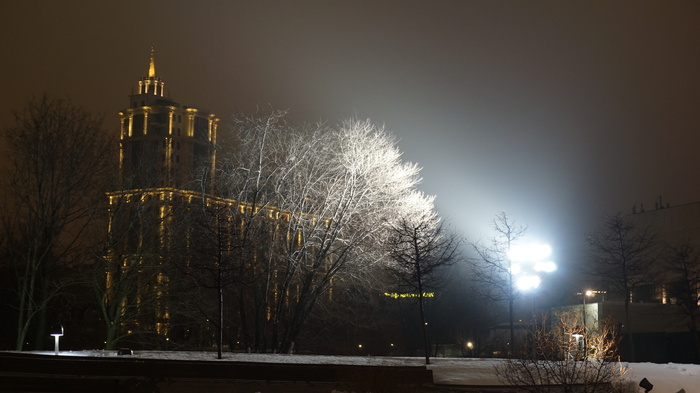 алексей Вавилов, «фонарь»