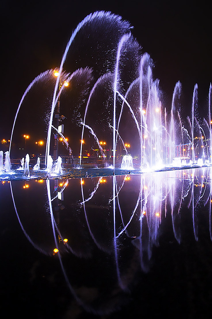 Дмитрий Потапов, «Огни Москвы »