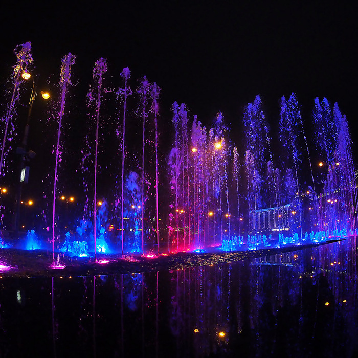 Дмитрий Потапов, «Огни Москвы »