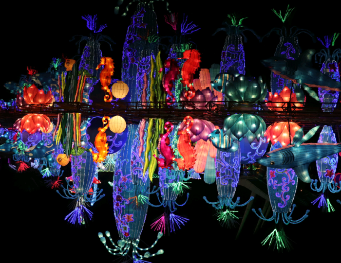 Анна, «Ночная рапсодия»