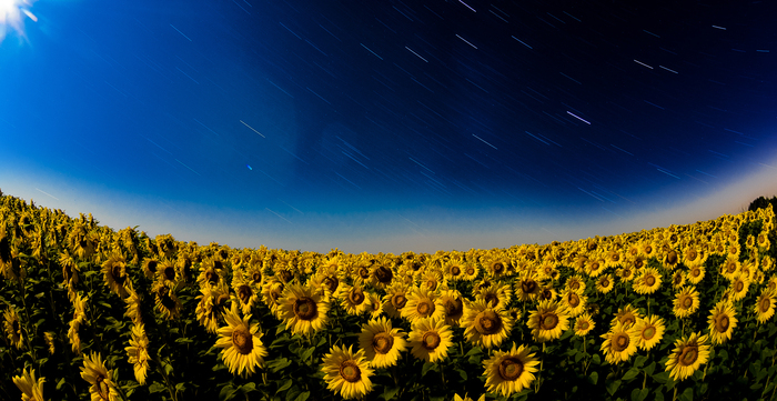 Renat Alyaudinov, «Пока существует пространство»