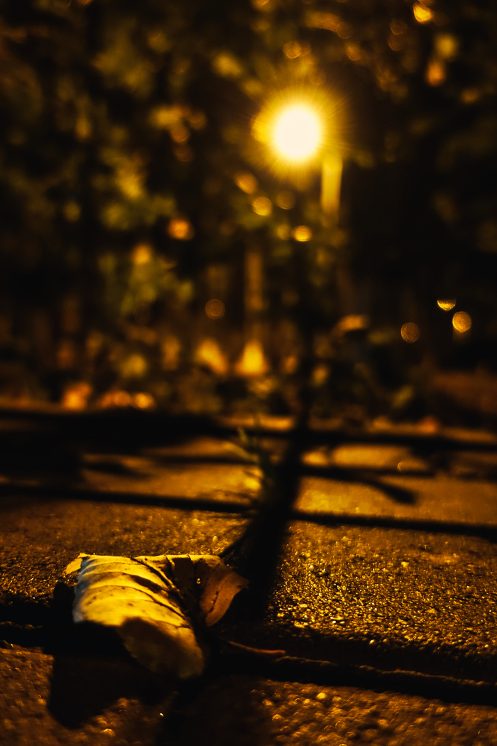 Юрий Федоскин, «Жёлтое одиночество.»