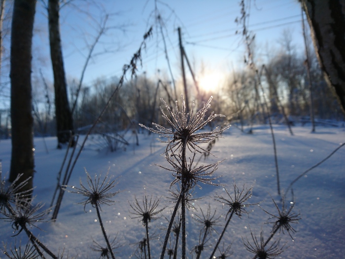 Евгений Михеев, «Зима.»