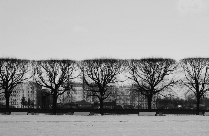 Никита  Божин, «Контуры»