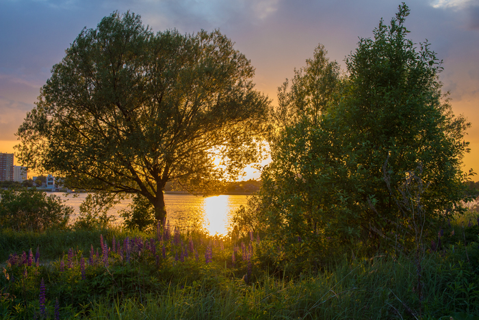 Сергей Немцев, «Лучезарный закат»