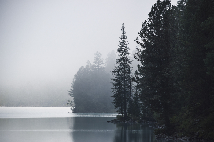 Владимир Камнев, «Инопланетное зеркало»