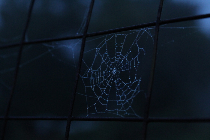 Ульяна Черненко, «иней в 5 утра»