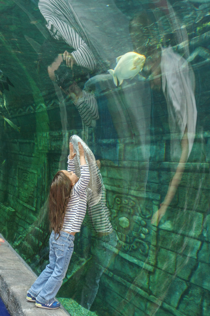 strannik07, «Первая рыбка моя»