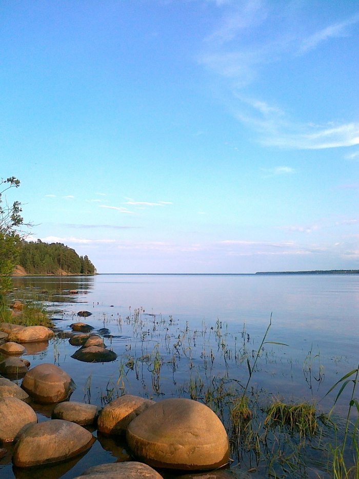 Елена Шафикова, «Ладога»