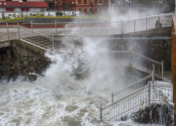 Евгения Серко, «Море атакует»