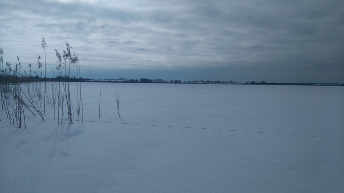 Дарина Богатырёва, «Утро на озере»
