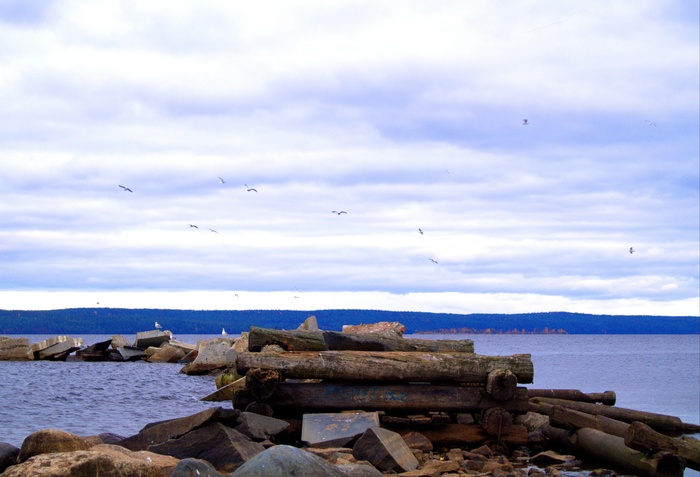 KOTO Murmudr, «На берегах Карелии»