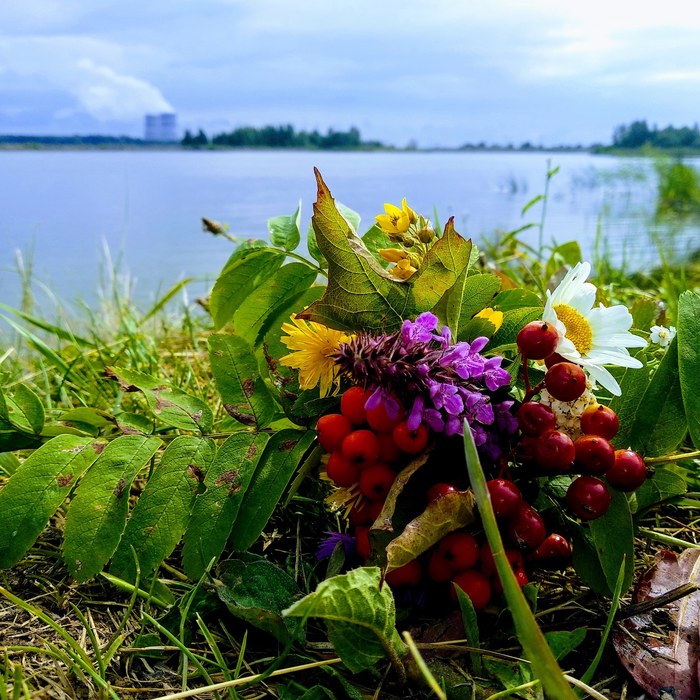Олеся   Евсеенко, «Лето»