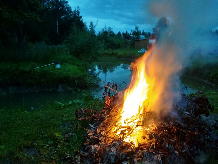 Олеся   Евсеенко, «Летний вечер»