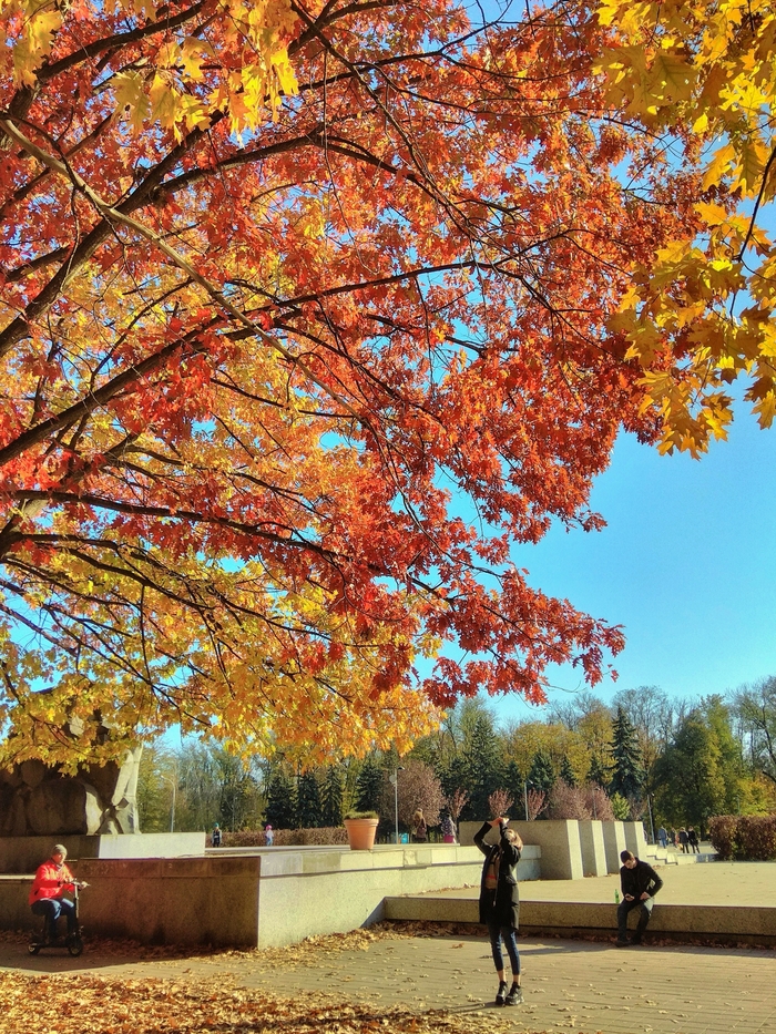 Виталий Баранов, «Осень в Краснодаре»