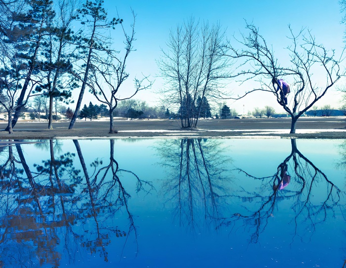 Виктория, «Весенняя синева»