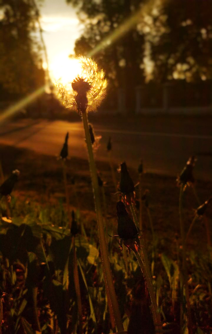 Под лучами солнца