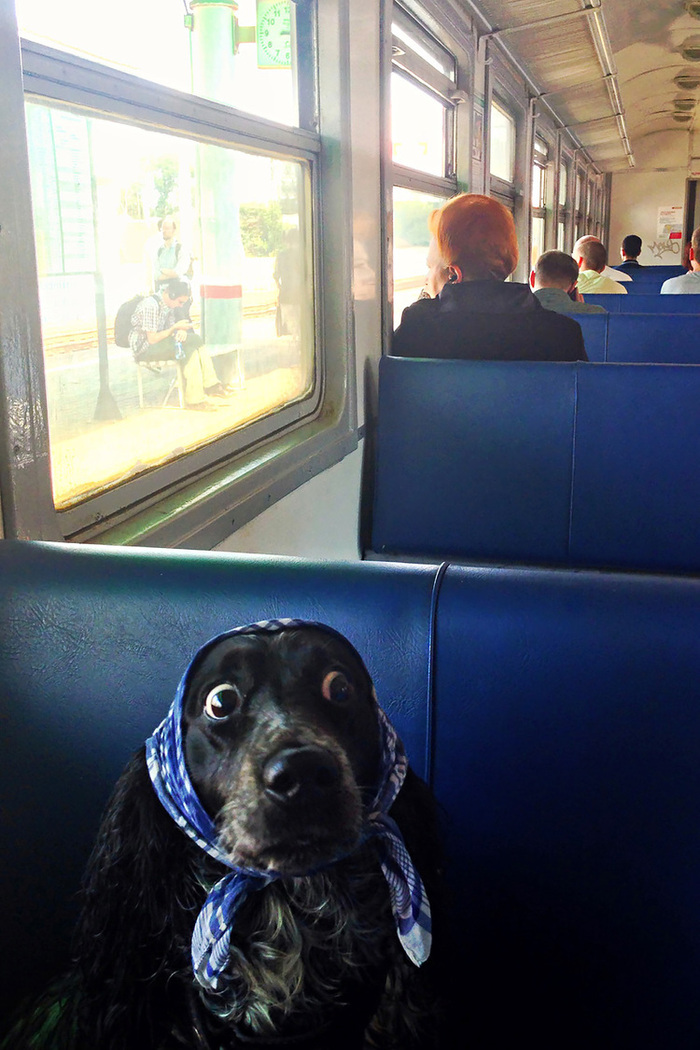 Fc4431d6 9b93 456e 9304 61f4095d89ea rectangle 700 x