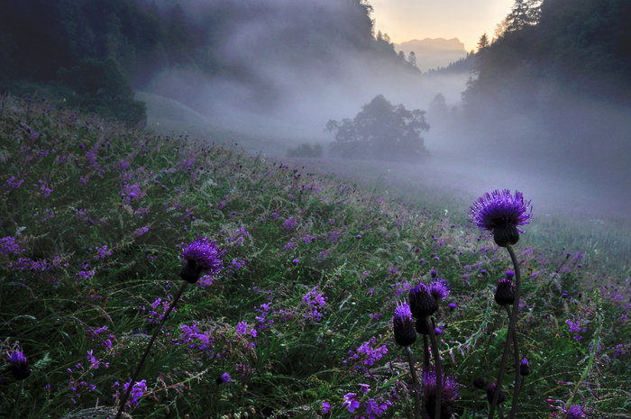 Олег Константинов, «Магическое утро»