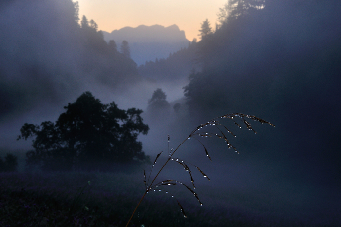 Олег Константинов, «Утреннее серебро»