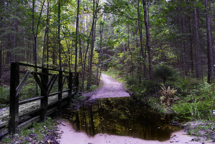 Max Smirnov, «Мост сквозь время»