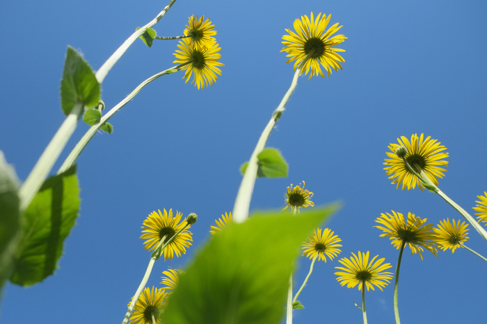 Ольга Таланцева, «Детство»
