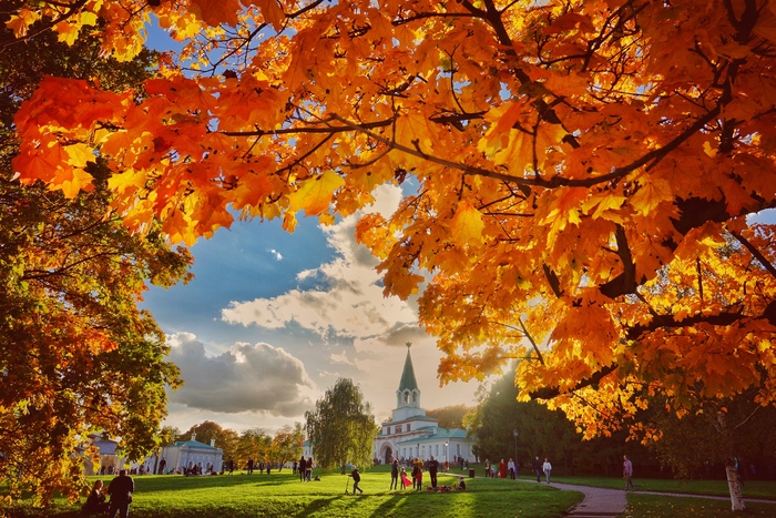 9c8272ce dd53 43b0 b9b1 f2f976924ff4 rectangle 700 x