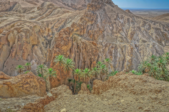 Сергей Межин, «Сахара: горный оазис»