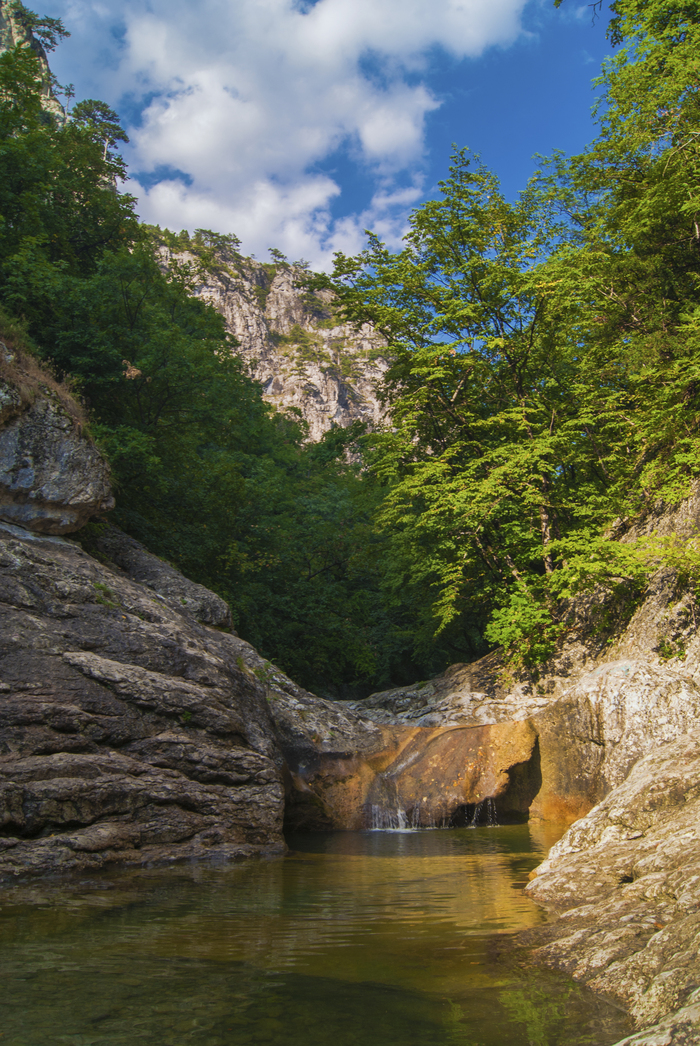 Екатерина, «Звонкость»