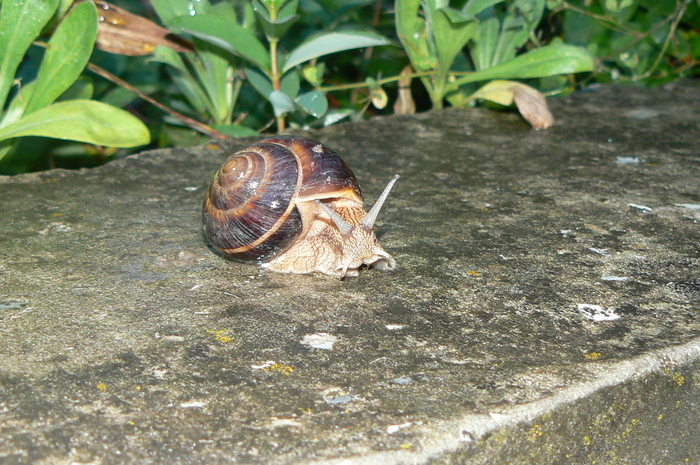 Debre, «"Везде должен быть дом..."»