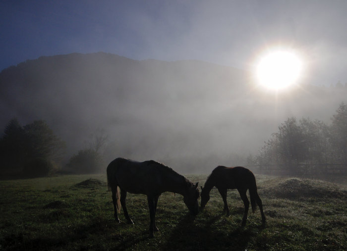 Олег Константинов, «Утро на Умпыре»