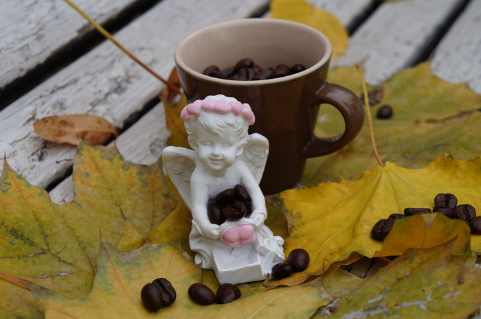 Наталия Васильевна, «Кофейные дары осени!»