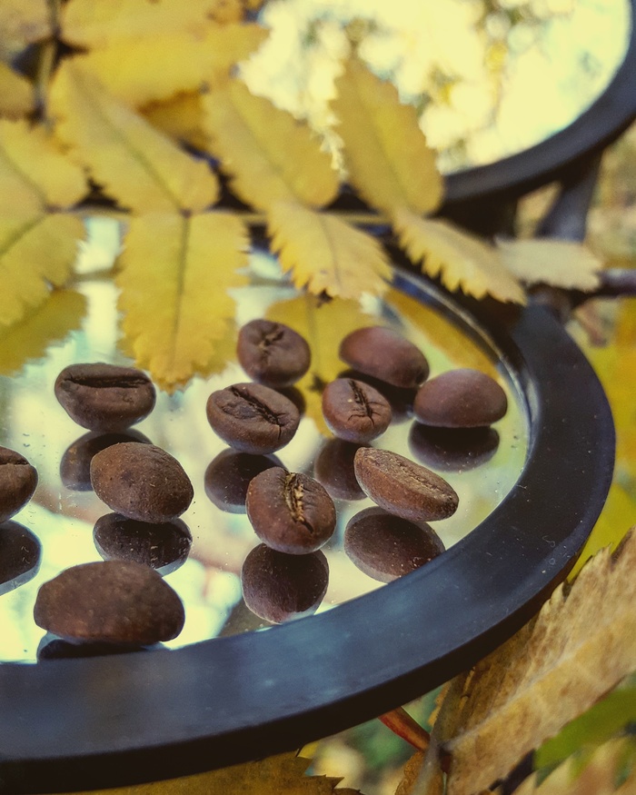 Природа в принципе роде