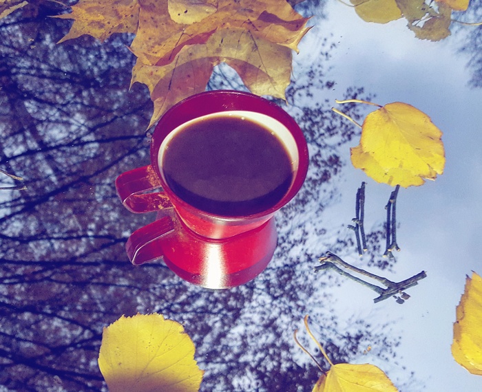 Анна Алеева, «Тепло и холод»