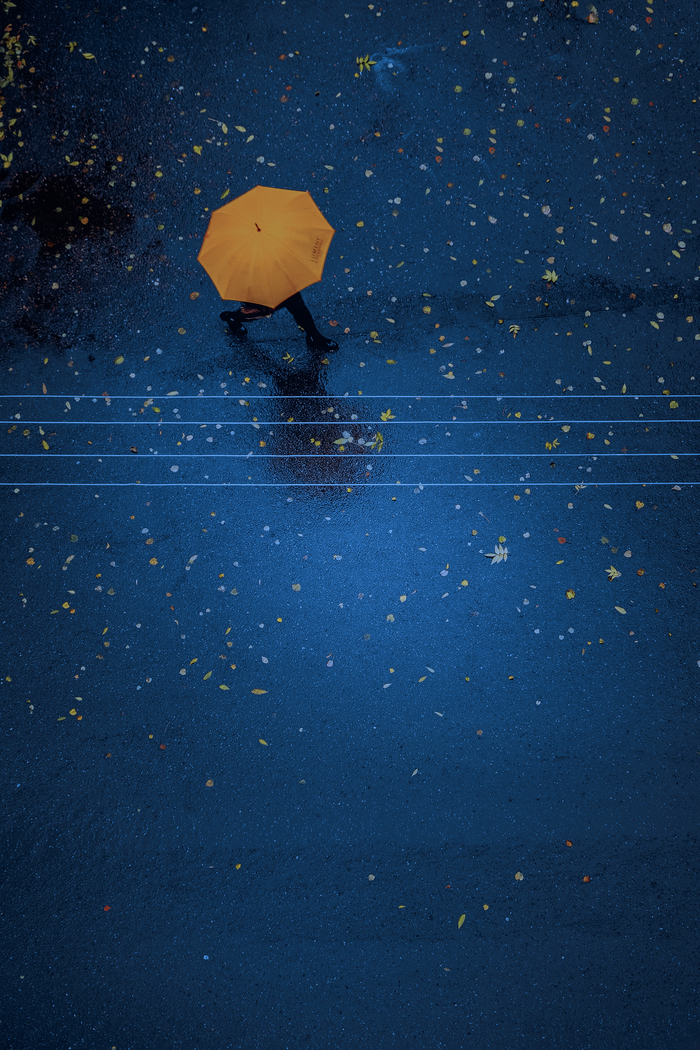 70a518d7 7f48 47ef bfcd 8f0eb04f39ba rectangle 700 x