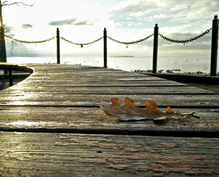 Yana, «Осеннее одиночество»