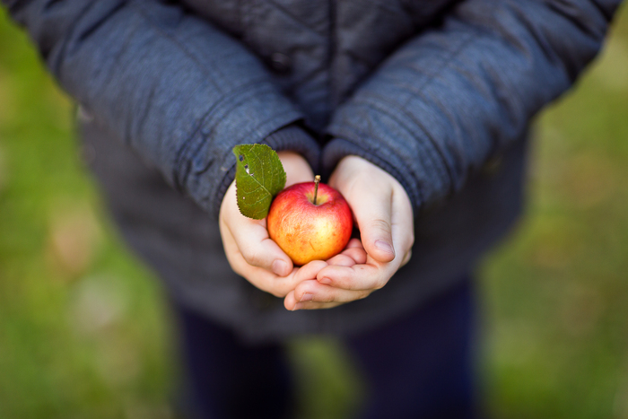 Alicja Yusupova, «Осень»