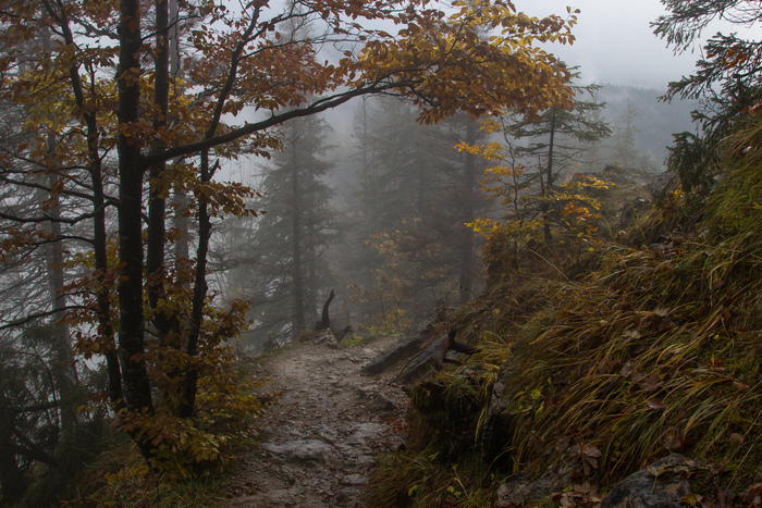 Marina Keiras, «Магия пути в осень»