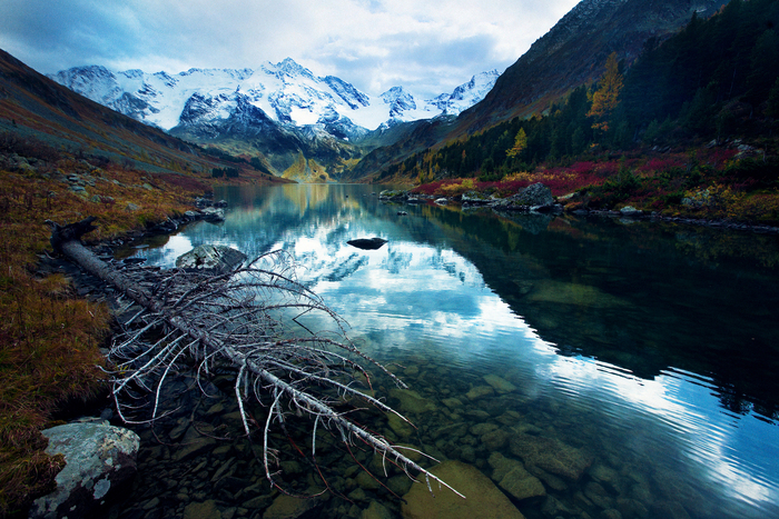 Константин  Грибов, «Осенний Алтай»