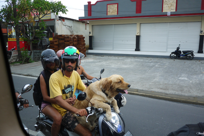 guzrkb, «Встреча на светофоре»