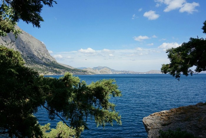 Лучший друг