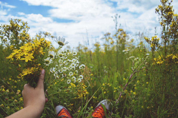 Катя Жолина, «летнее утро»