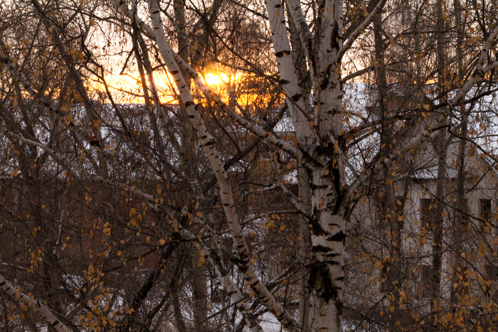 Galina Lashevskaya, «Солнце взошло!»