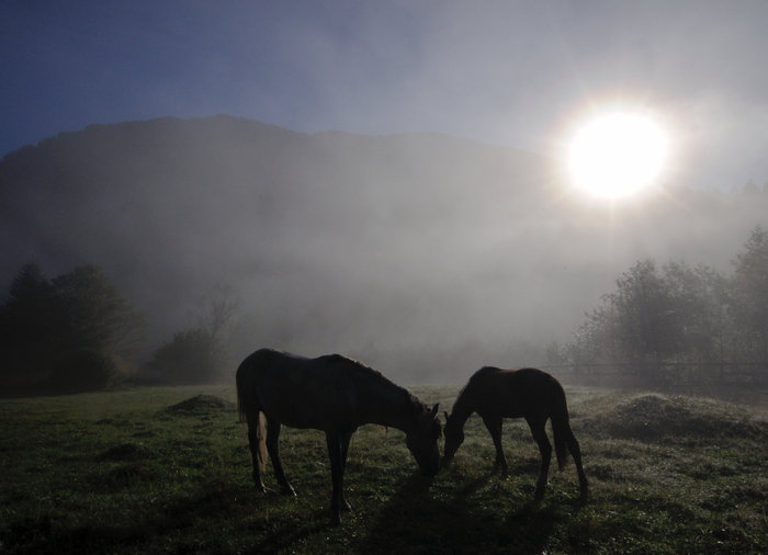 Олег Константинов, «Утро на Умпыре»