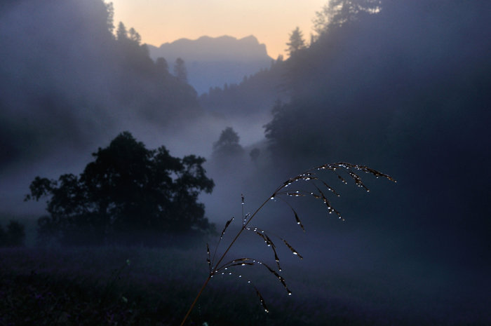 Олег Константинов, «Утреннее серебро»
