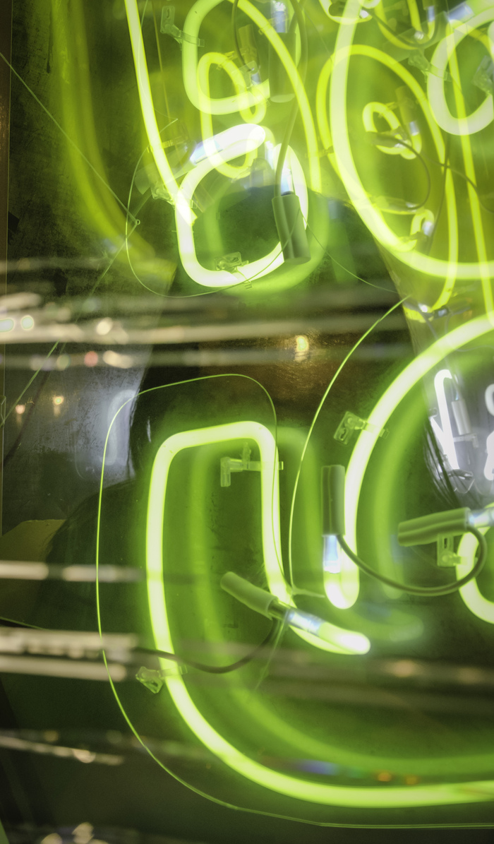 Антон Полыгалов, «Фантом незнакомки»